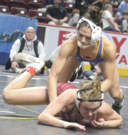 article image - Marlee_takedown